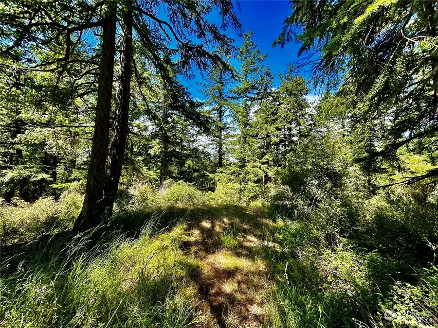 0 Salmonberry Lane, Friday Harbor, WA 98250 - Image #2