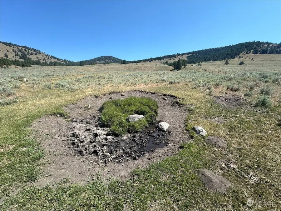 25 Harvest Moon Lane, Tonasket, WA 98855 - Image #2