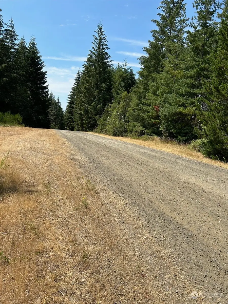 500 E Morris Creek Drive, Belfair, WA 98528 - Image #2