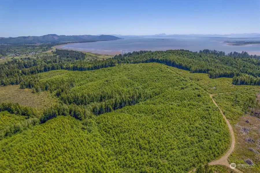 1000 Williams Street, Ilwaco, WA 98624 - Image #2