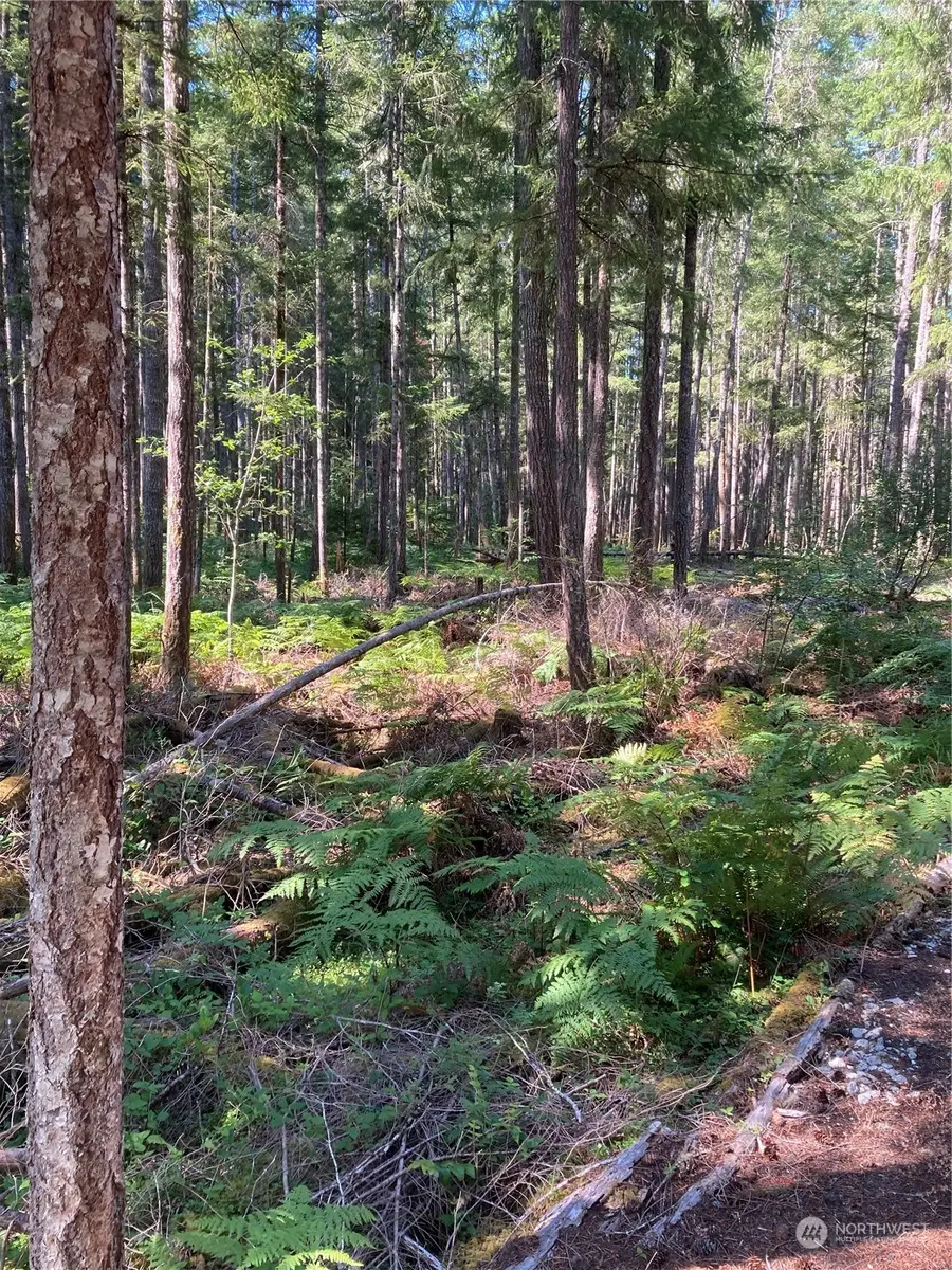 341 N Rainbow Way W #102, Hoodsport, WA 98548 - Image #3