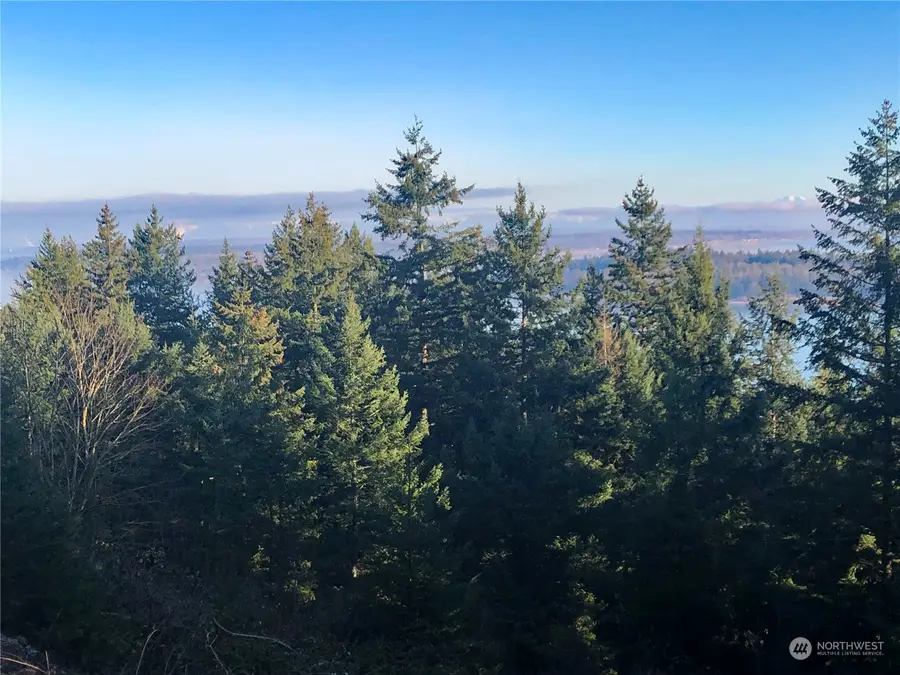 2948 Dogwood Terrace #42, Lummi Island, WA 98262 - Image #3