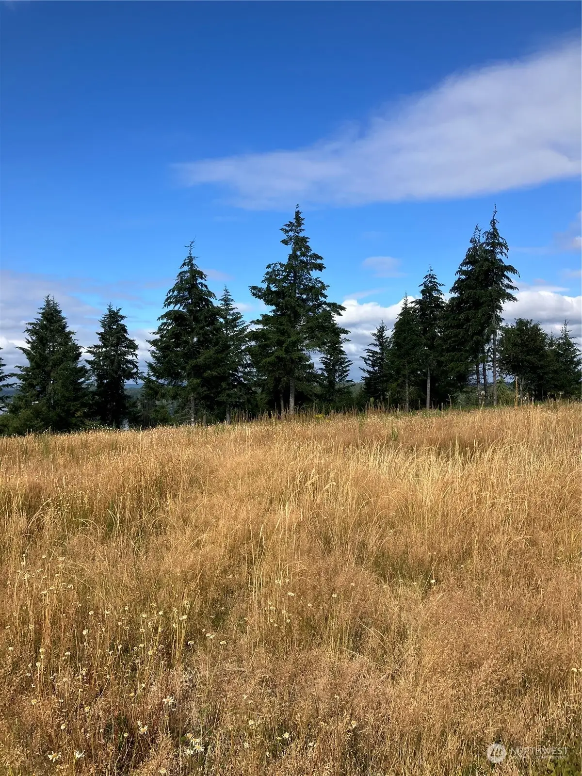 5 E Lone Fir Drive Drive E #5, Shelton, WA 98584 - Image #1