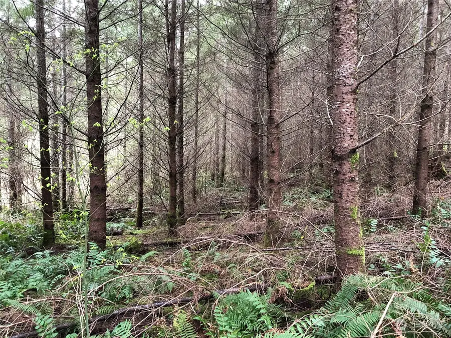 217 Thompson Creek Road #Thompson Creek, Tenino, WA 98589 - Image #2