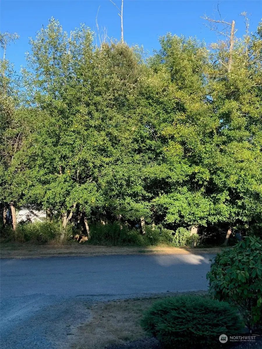 0 Brittney Drive #14, Freeland, WA 98249 - Image #3