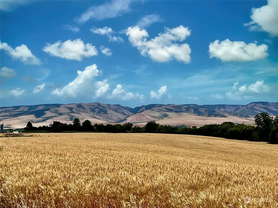 0 Stolen Horse Court #16, Walla Walla, WA 99362 - #2