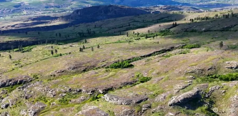 0 Mclaughlin Canyon Road #Tract-Y-Z-AA-CC-DD, Tonasket, WA 98855 - Image #2