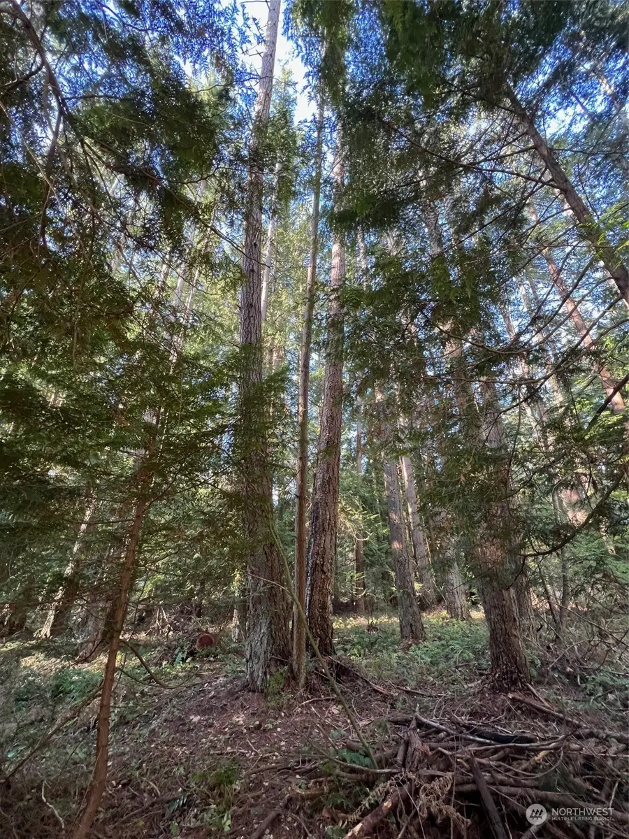 1 Mill Road #1, Point Roberts, WA 98281 - Image #2