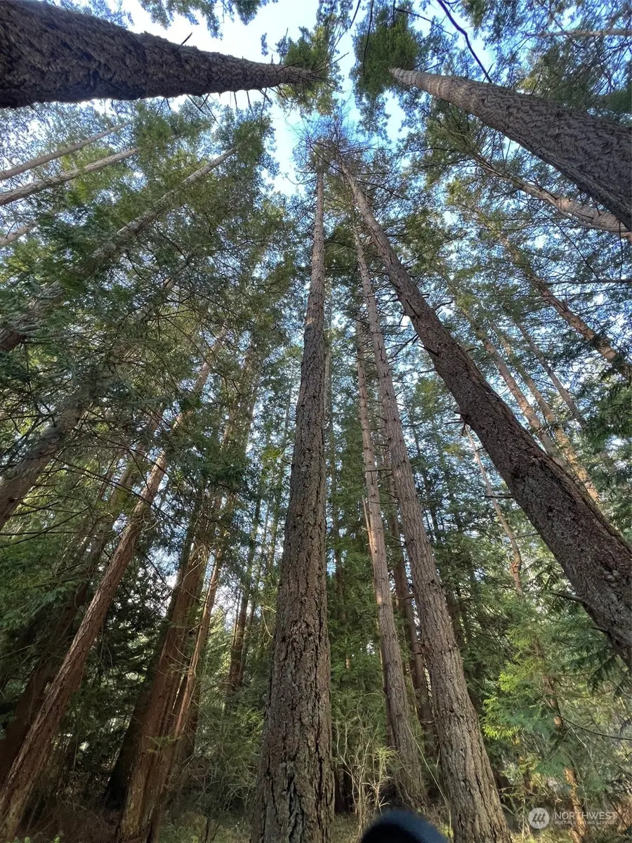 1 Mill Road #1, Point Roberts, WA 98281 - Image #3