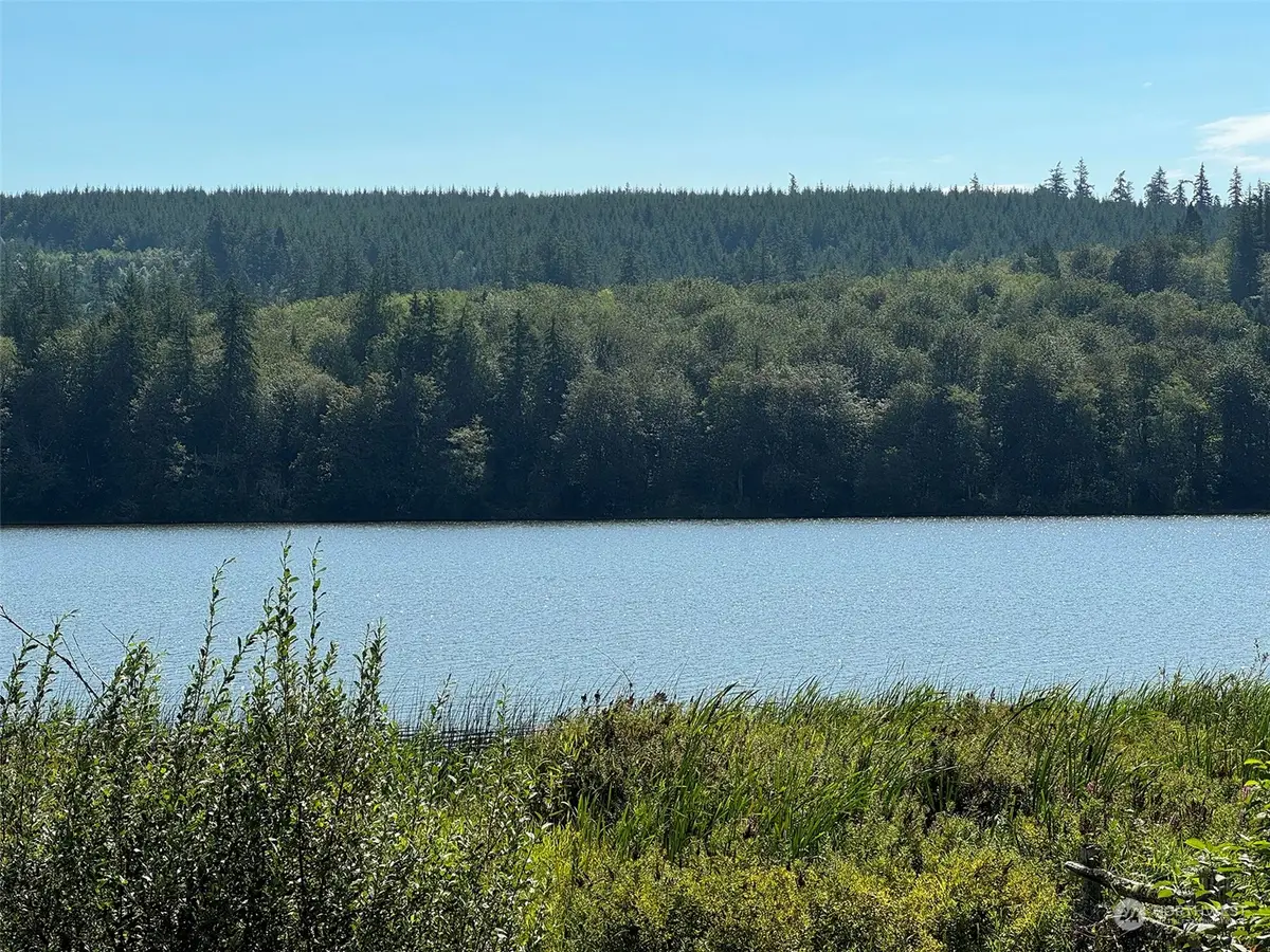 9999 E Snow Creek Way #4, Quilcene, WA 98376 - Image #1