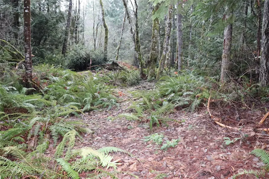 0 Lackey Road Nw #see legal, Vaughn, WA 98394 - Image #2