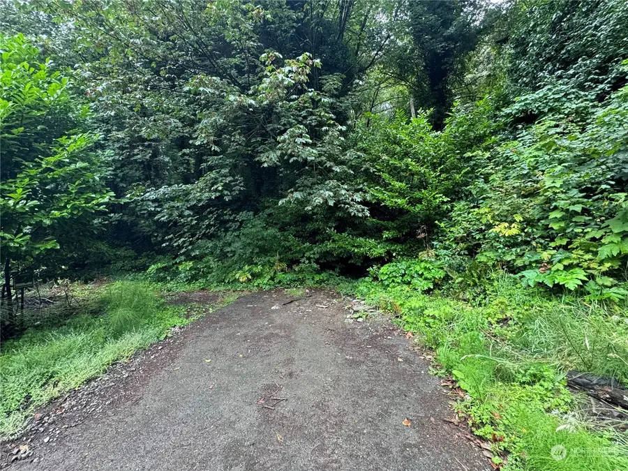 0 Xxxx Henry Street #LOTS 1-9, Aberdeen, WA 98520 - Image #3