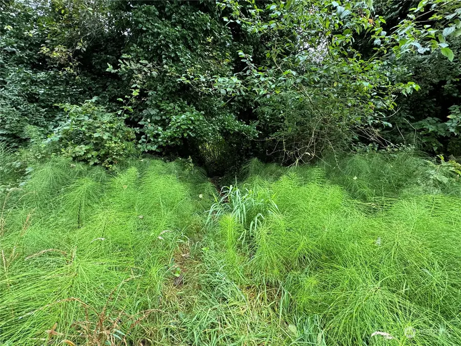 0 Xxxx Center Street #LOTS 13-20, Aberdeen, WA 98520 - Image #2