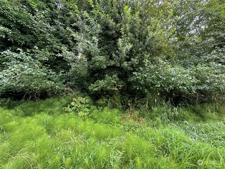 0 Xxxx Center Street #LOTS 13-20, Aberdeen, WA 98520 - Image #3