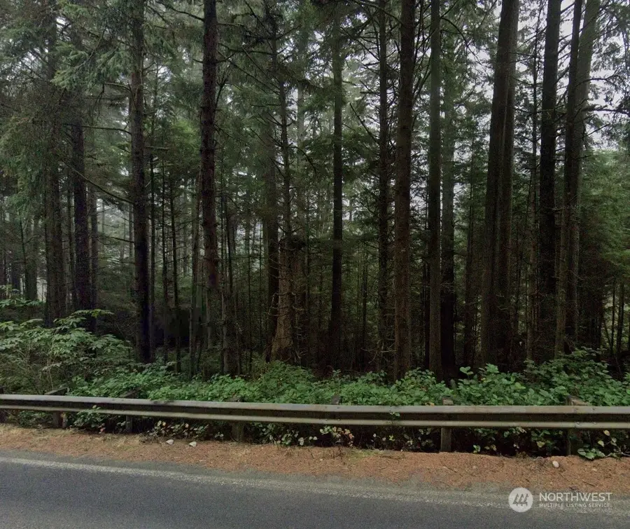 3910 State Rt 109 Highway #LOTS 1 & 2, Pacific Beach, WA 98571 - Image #3