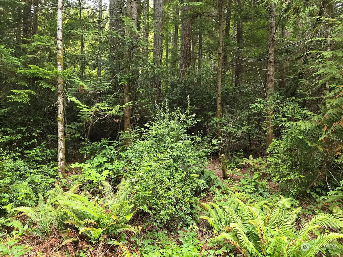 41 N Paradise Drive #25 & 26, Lilliwaup, WA 98555 - Image #1