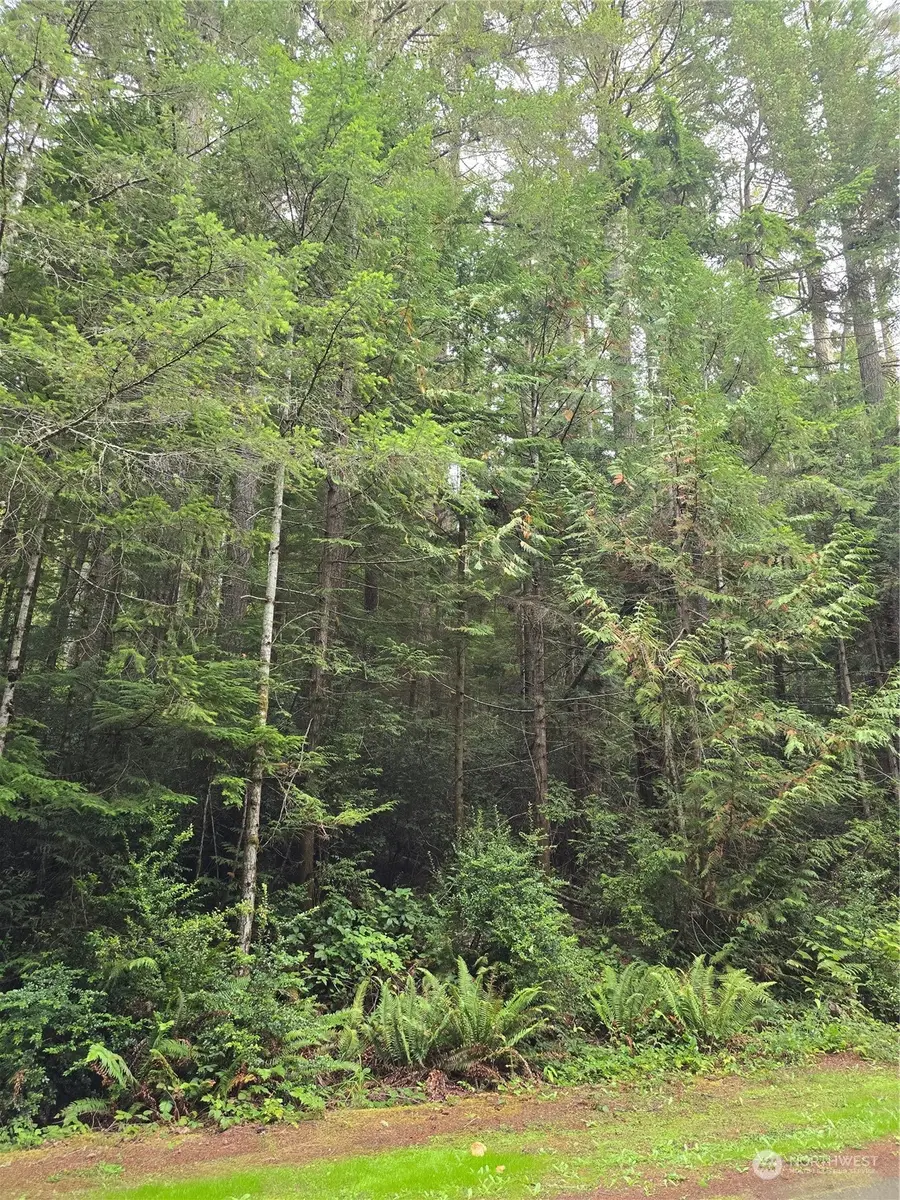 41 N Paradise Drive #25 & 26, Lilliwaup, WA 98555 - Image #2