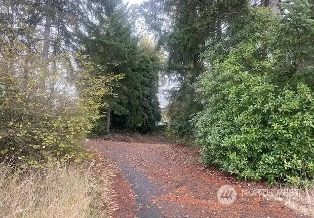 4912 200th Street E, Spanaway, WA 98387 - Image #3