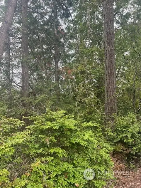 919 Sanford Avenue #10, Lakebay, WA 98349 - Image #1