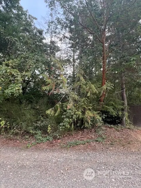 919 Sanford Avenue #10, Lakebay, WA 98349 - Image #3