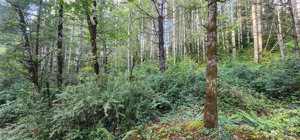 1400 E Jensen Road E #TR 1 OF SP 2167 SEE SURV 4/74, Shelton, WA 98584 - Image #1