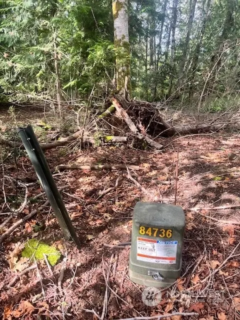 70 E Lupine Place, Shelton, WA 98584 - Image #3