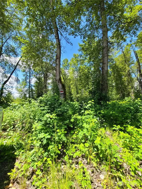 201 River Avenue Ne, Orting, WA 98360