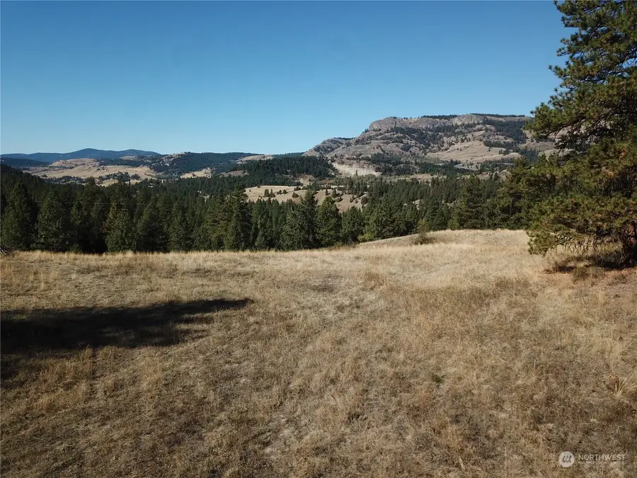 68 Jostin Lane, Malo, WA 99150 - Image #3