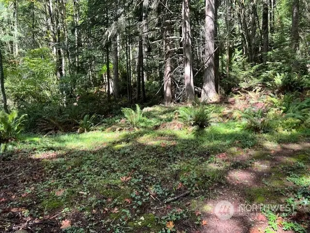 8900 144th Place Se, Newcastle, WA 98059 - Image #2