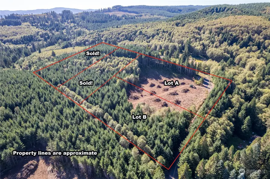 0 Hunter Road #Lot A, Longview, WA 98632 - Image #3