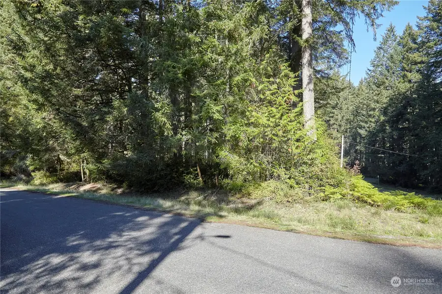 10423 Lake Josephine Boulevard #LOT 85, Anderson Island, WA 98303 - Image #2