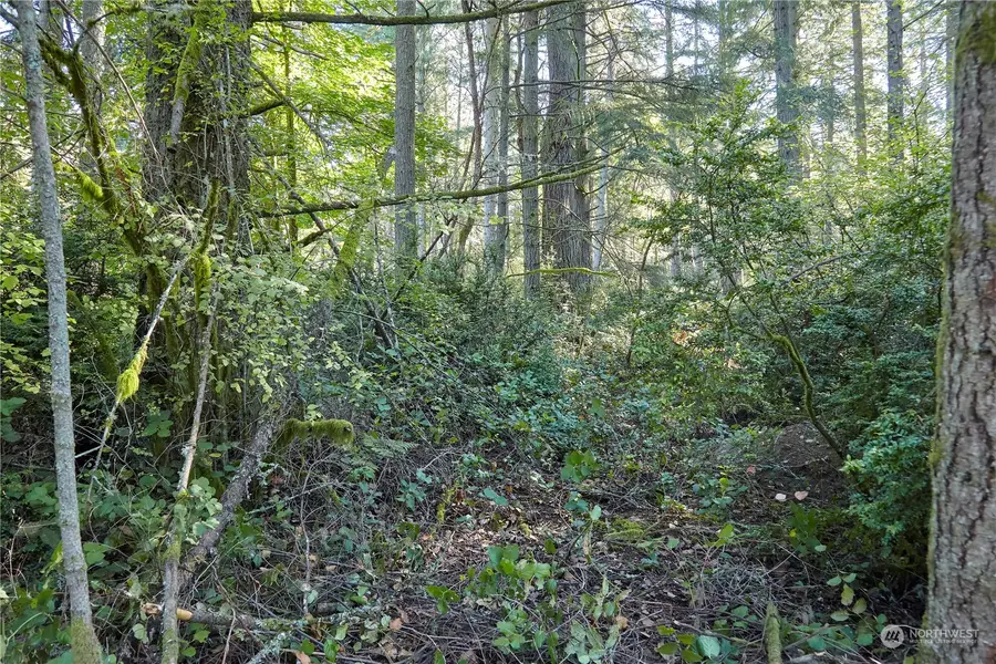 10217 Eckenstam Johnson Road #LOT 7, Anderson Island, WA 98303 - Image #2