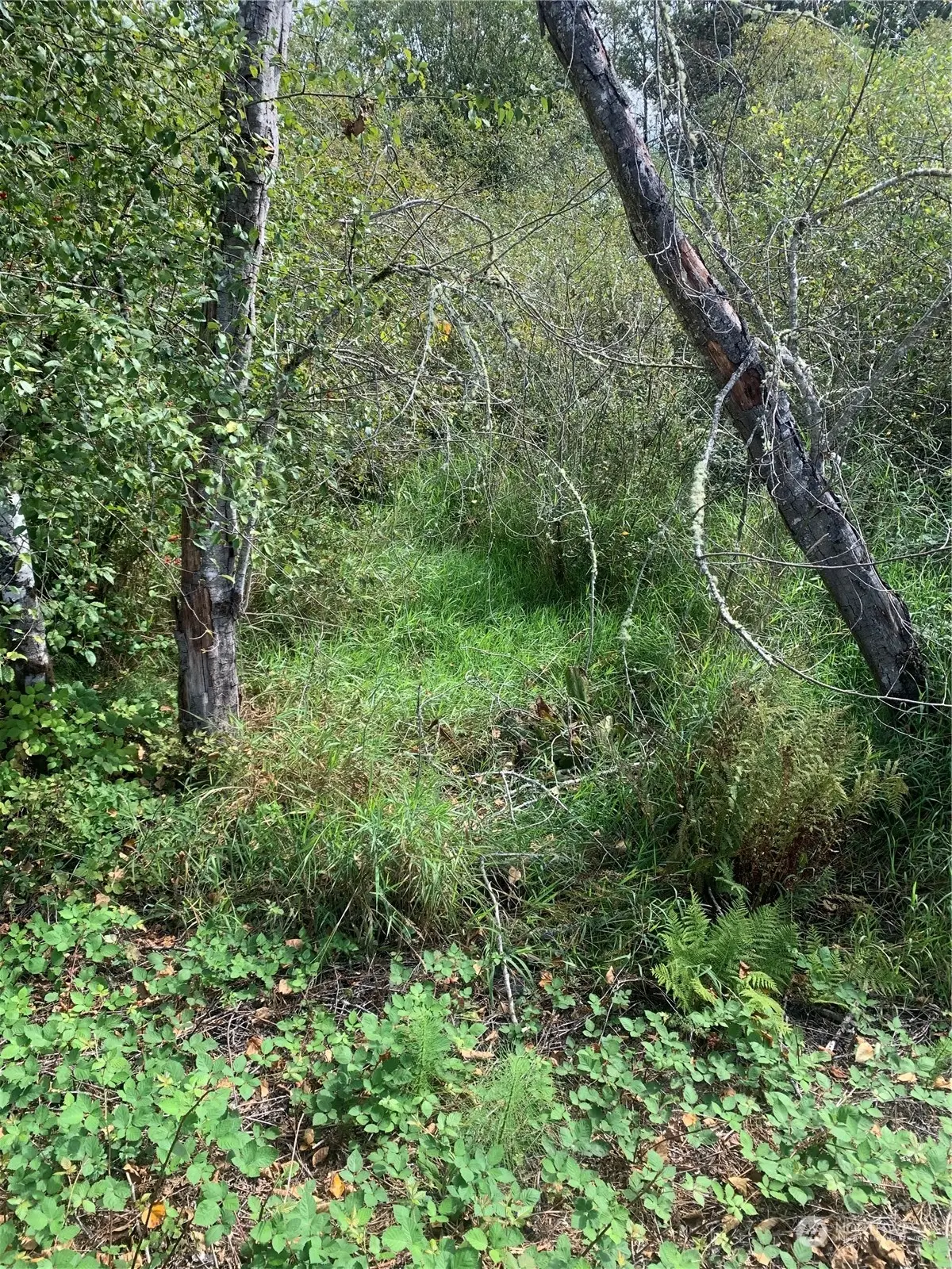 93 Meadowbrook Way Se, Snoqualmie, WA 98065 - Image #1