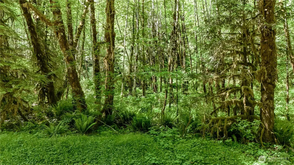 99992 Dowans Creek Road, Forks, WA 98331 - Image #1