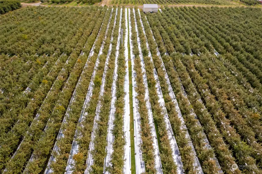 0 N Quincy Avenue, East Wenatchee, WA 98802 - Image #2