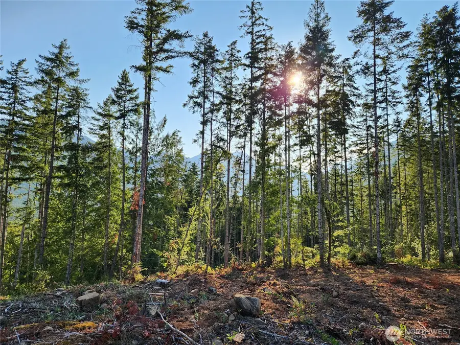 0 Rocky Brook Road, Brinnon, WA 98320 - Image #3