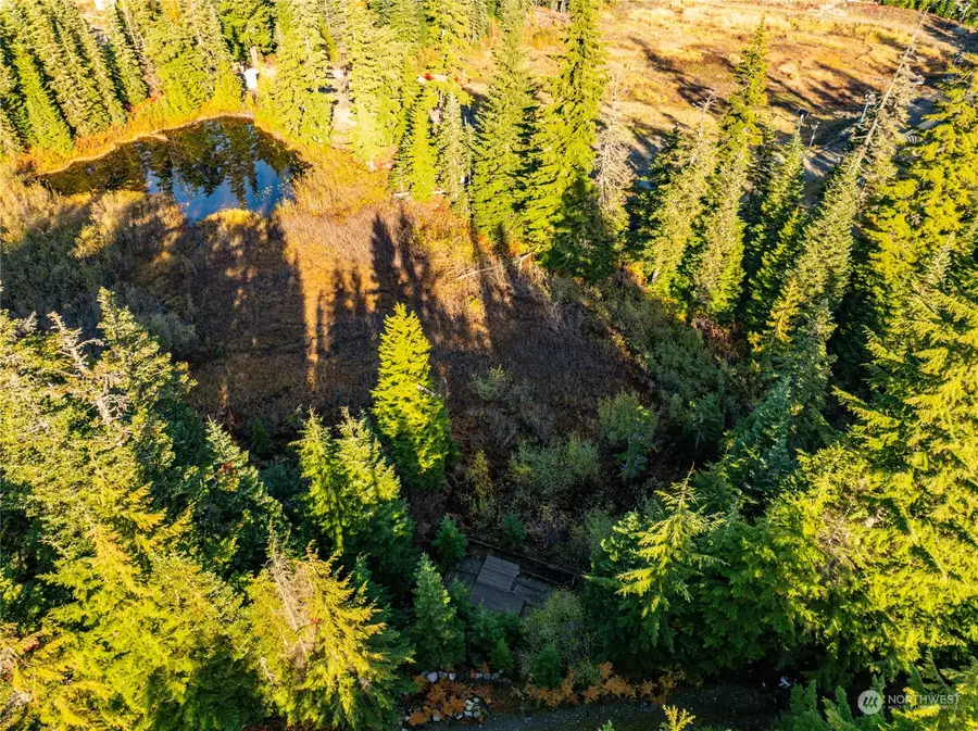 63 Snoqualmie Village Drive, Snoqualmie Pass, WA 98068 - Image #3