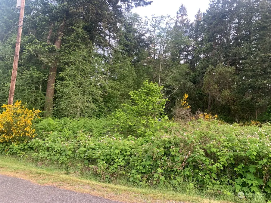 0 Lylus Lane #Lots 27 and the North 38 feet of Lot 28, Port Hadlock, WA 98339 - Image #2