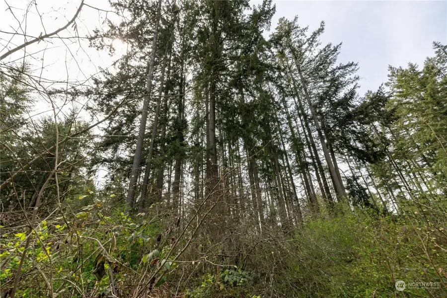 0 95th Avenue Ct E #3, Graham, WA 98338 - Image #3