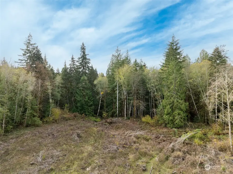 0 E Strong Road #43, Shelton, WA 98584 - #2