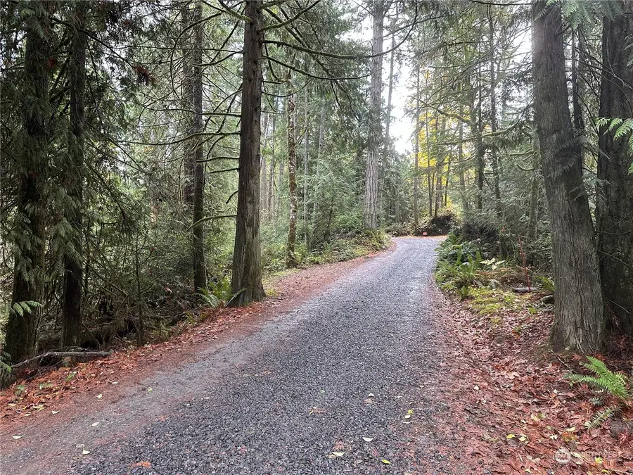 0 Bass Lane, Lakebay, WA 98349 - Image #3