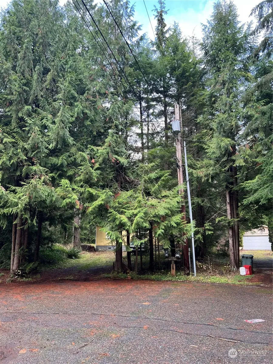 901 Ruby Valley Court, Maple Falls, WA 98266 - Image #2