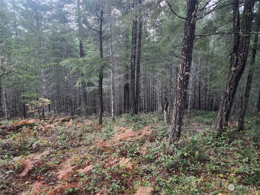 110 Ridge Lane, Packwood, WA 98361 - Image #3