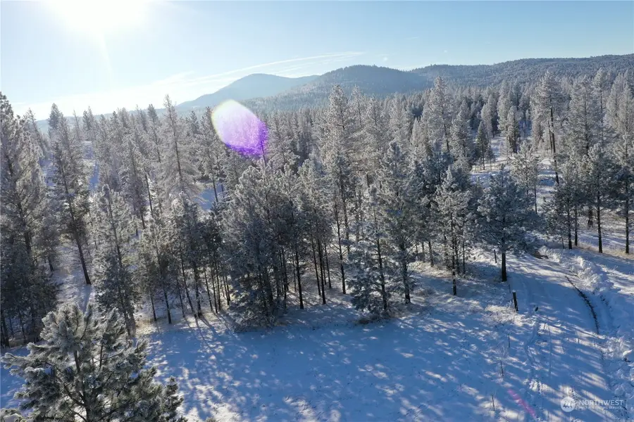 109 Ruff, Tonasket, WA 98855 - #2