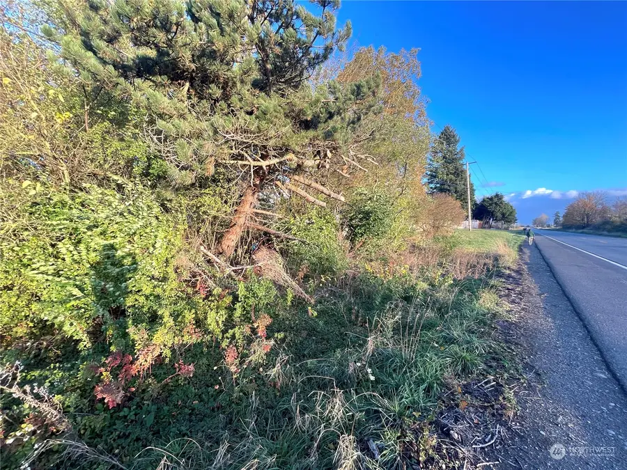 438 Auburn Enumclaw Road Se, Enumclaw, WA 98022 - Image #3