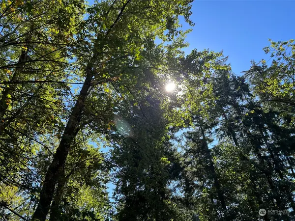 7704 E Golden Given Rd E, Tacoma, WA 98404