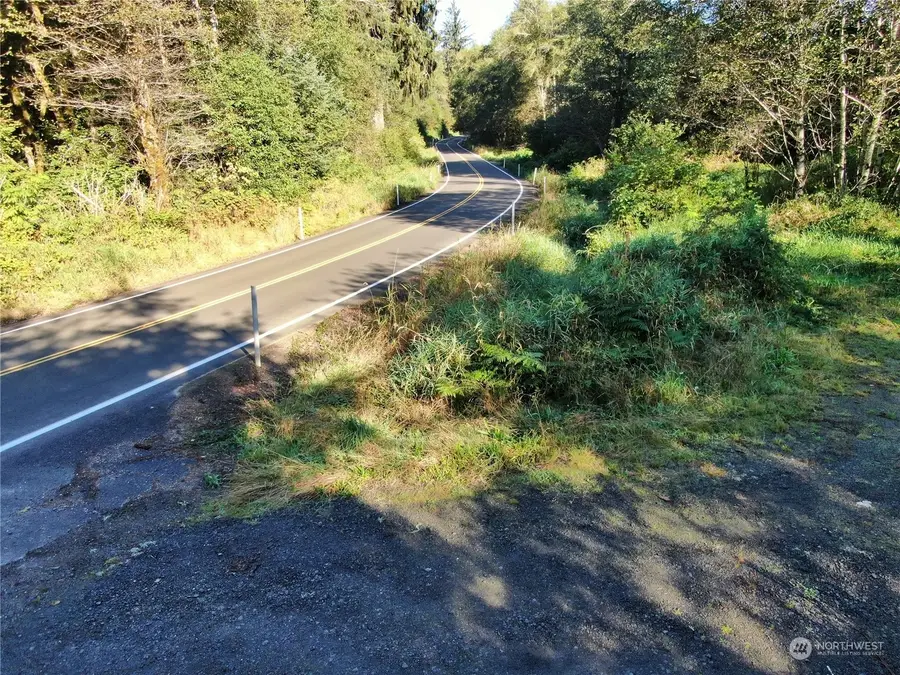 0 Butte Creek Road, Raymond, WA 98577 - #2