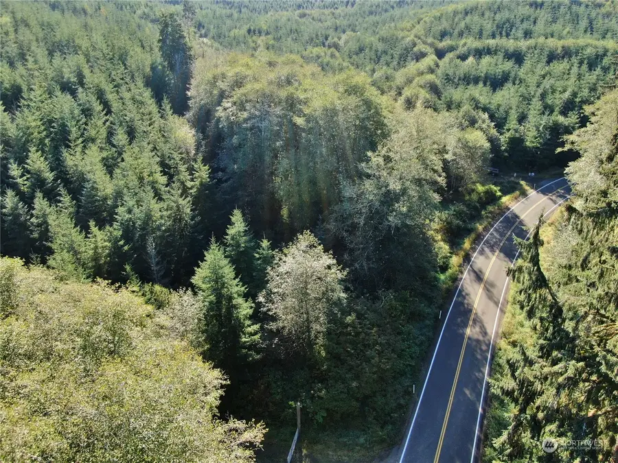 0 Butte Creek Road, Raymond, WA 98577 - #3