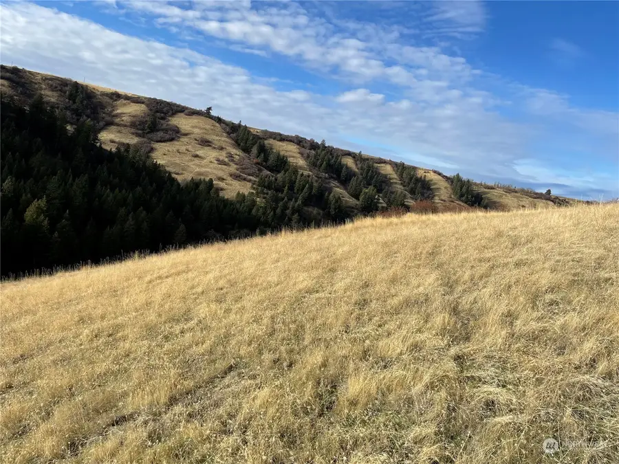 0 South Fork Coppei, Waitsburg, WA 99361 - Image #2