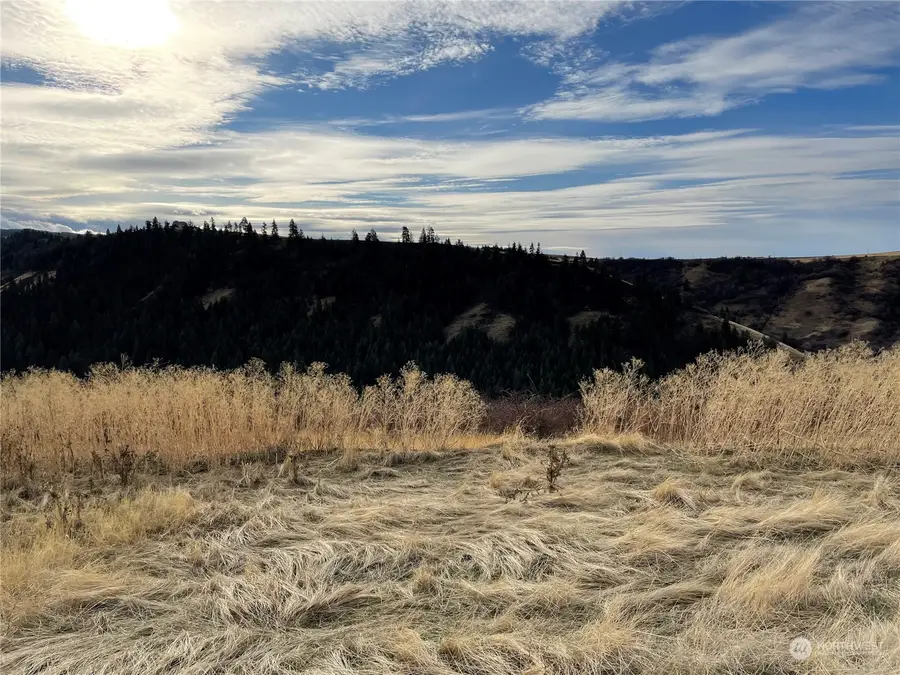 0 South Fork Coppei, Waitsburg, WA 99361 - Image #3